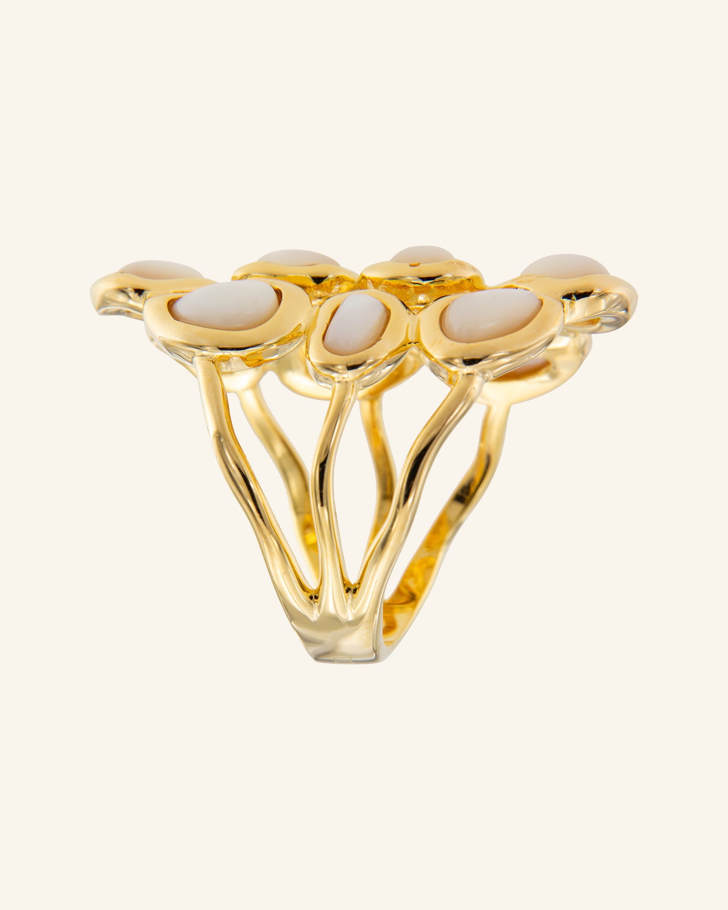 Anillo Tyapu