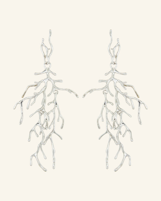 Manglar Plata