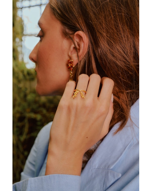 Goethe ring grows