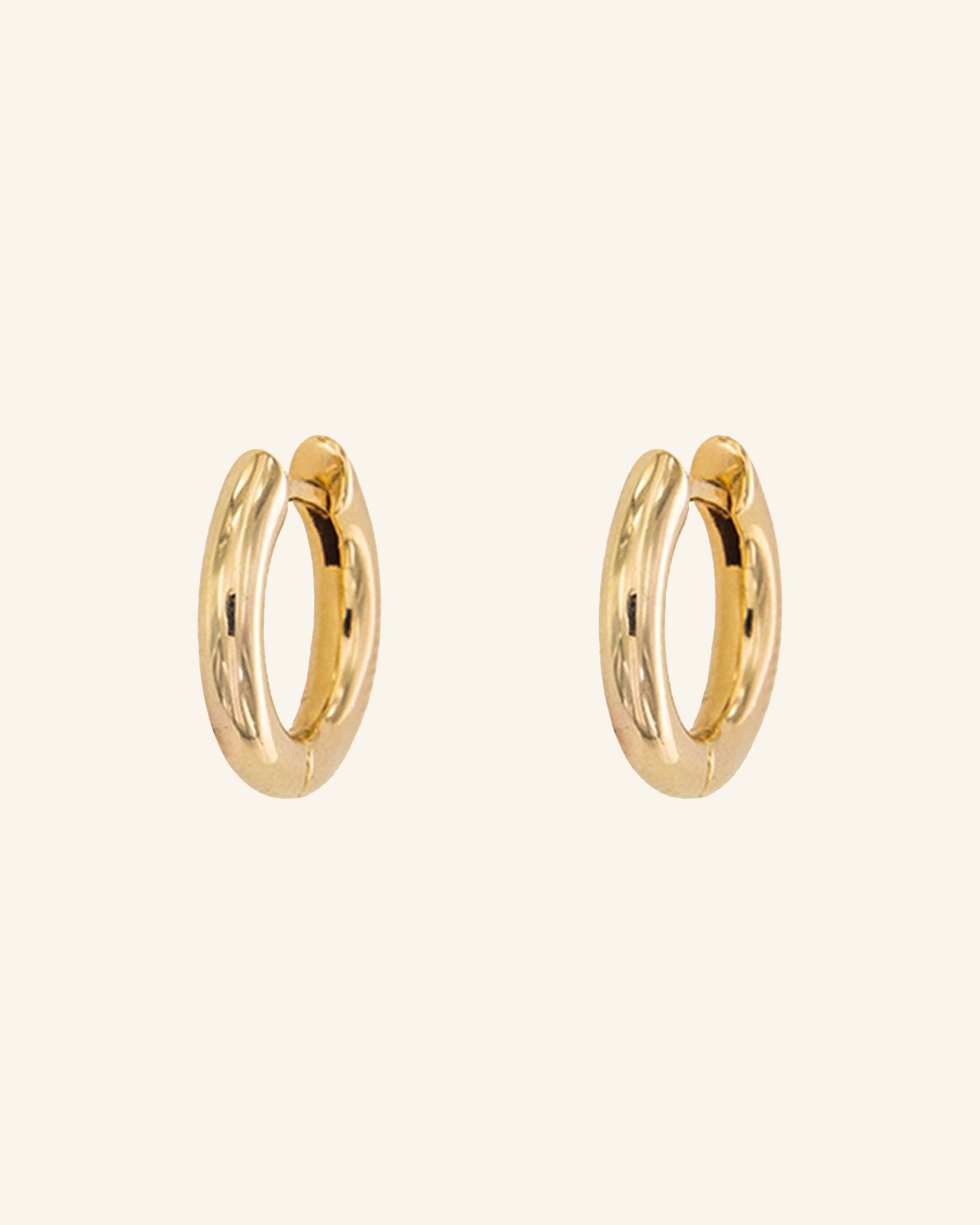 Golden Hoop Earrings