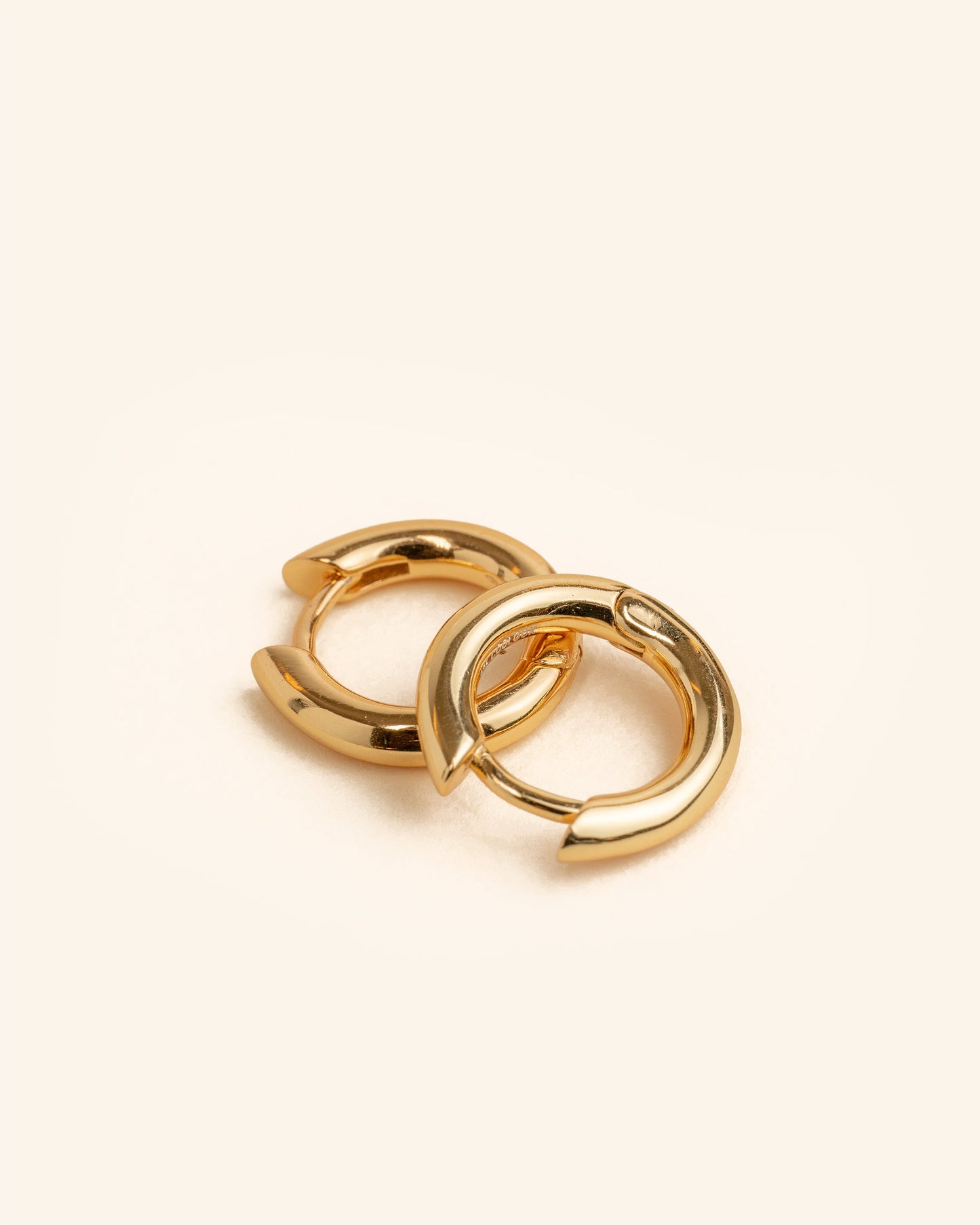 Golden Hoop Earrings