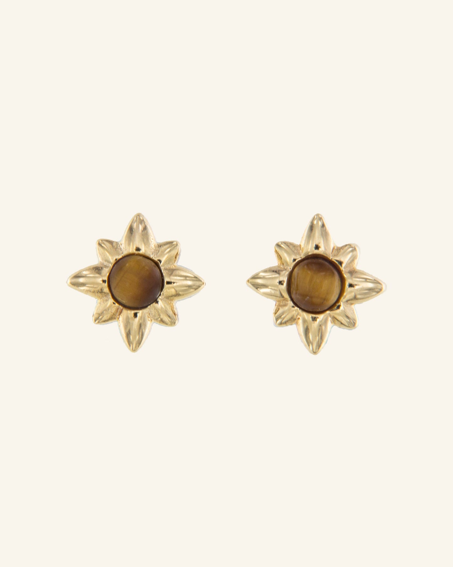 Minor Star Earrings with Tiger Eye