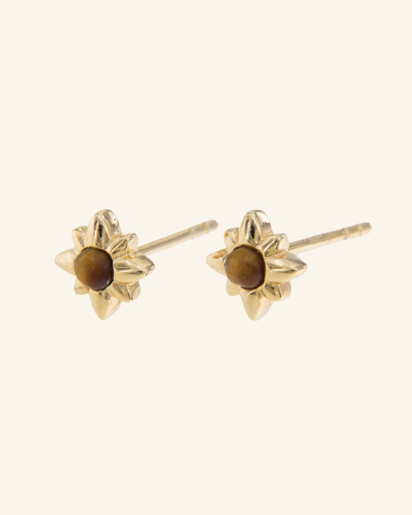 Minor Star Earrings with Tiger Eye