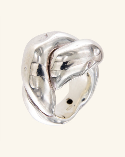 Shiny silver dust ring