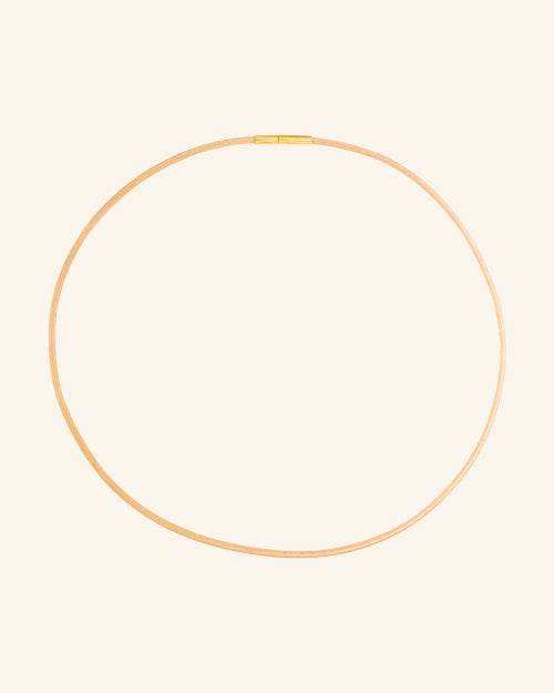 Short Golden Leather Cord 2 mm thick