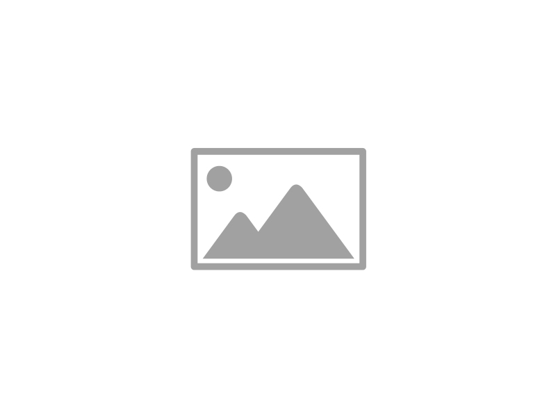 Broche Posidonia rayas