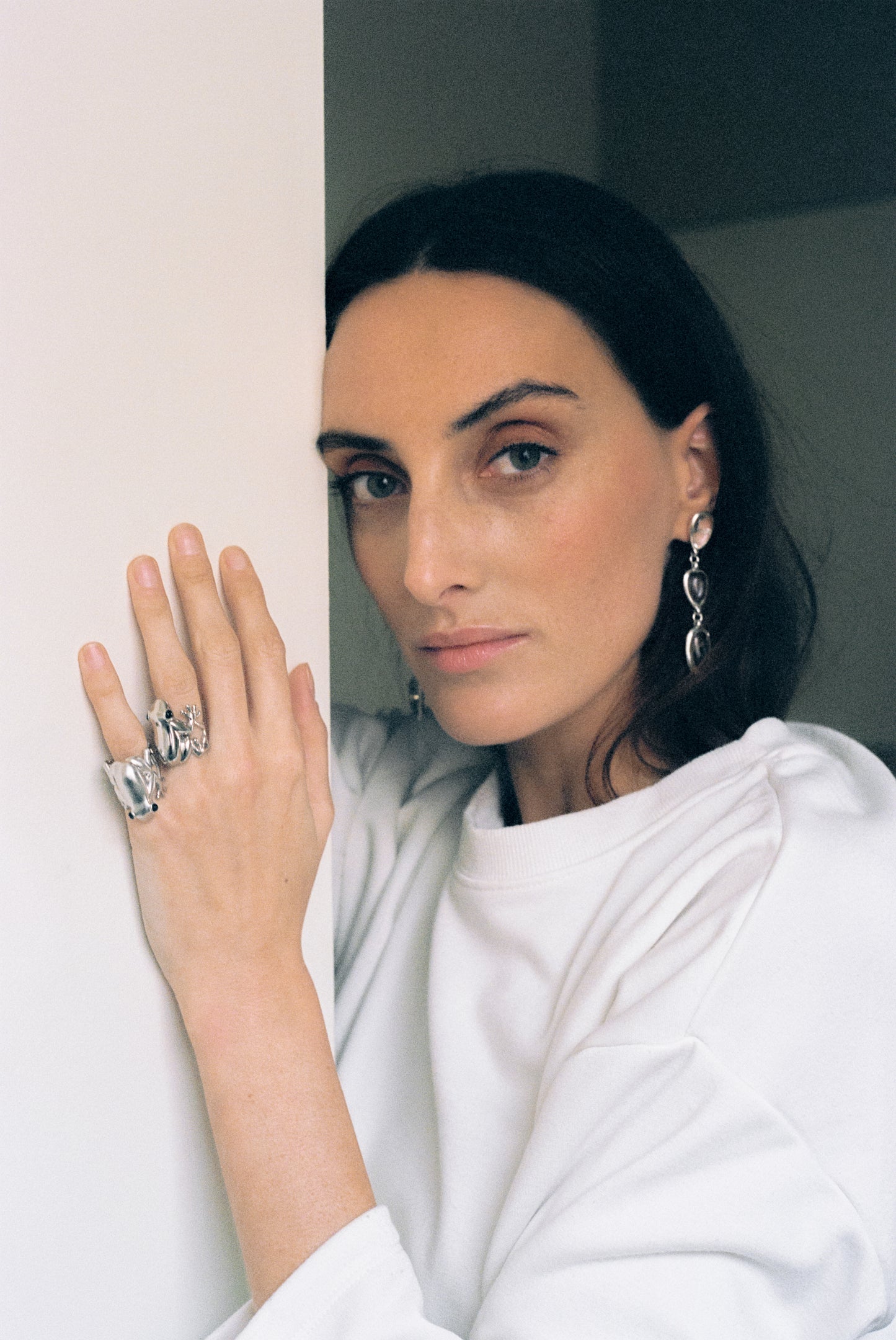 Anillo Rana de plata brillo con ónix