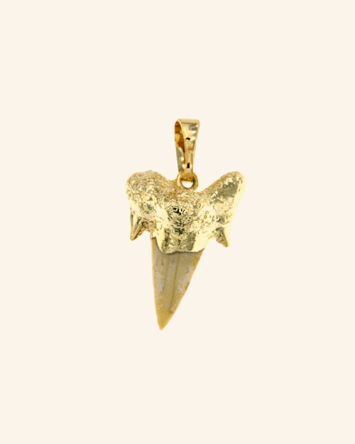Shark pendant with shark tooth